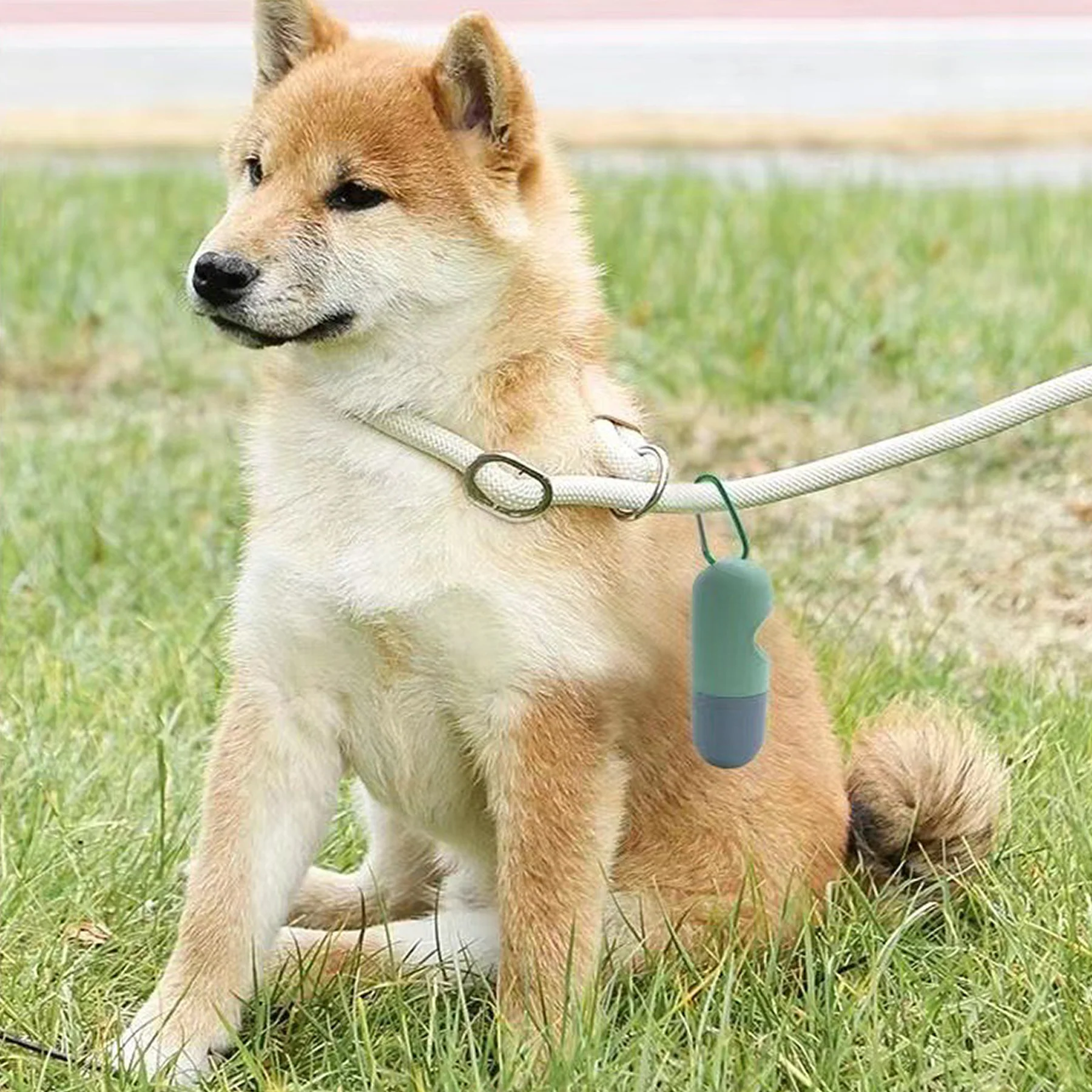 Dog Poop Bag Dispenser Flashlight