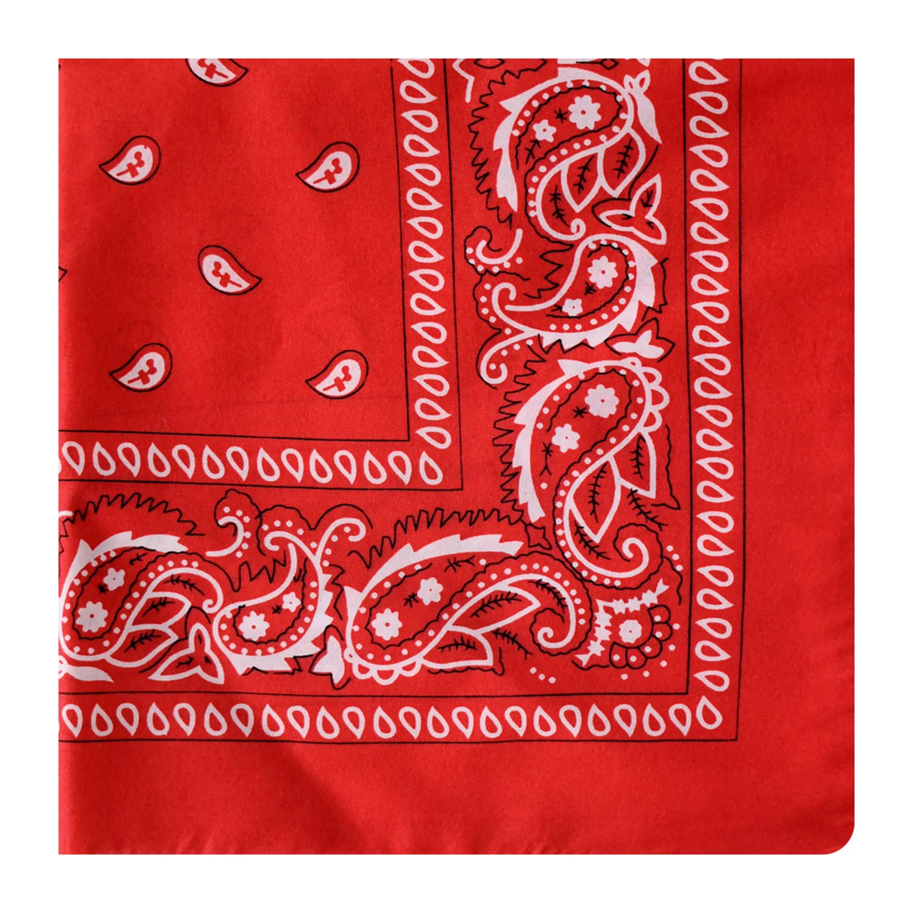 Paisley Hip-Hop Bandana