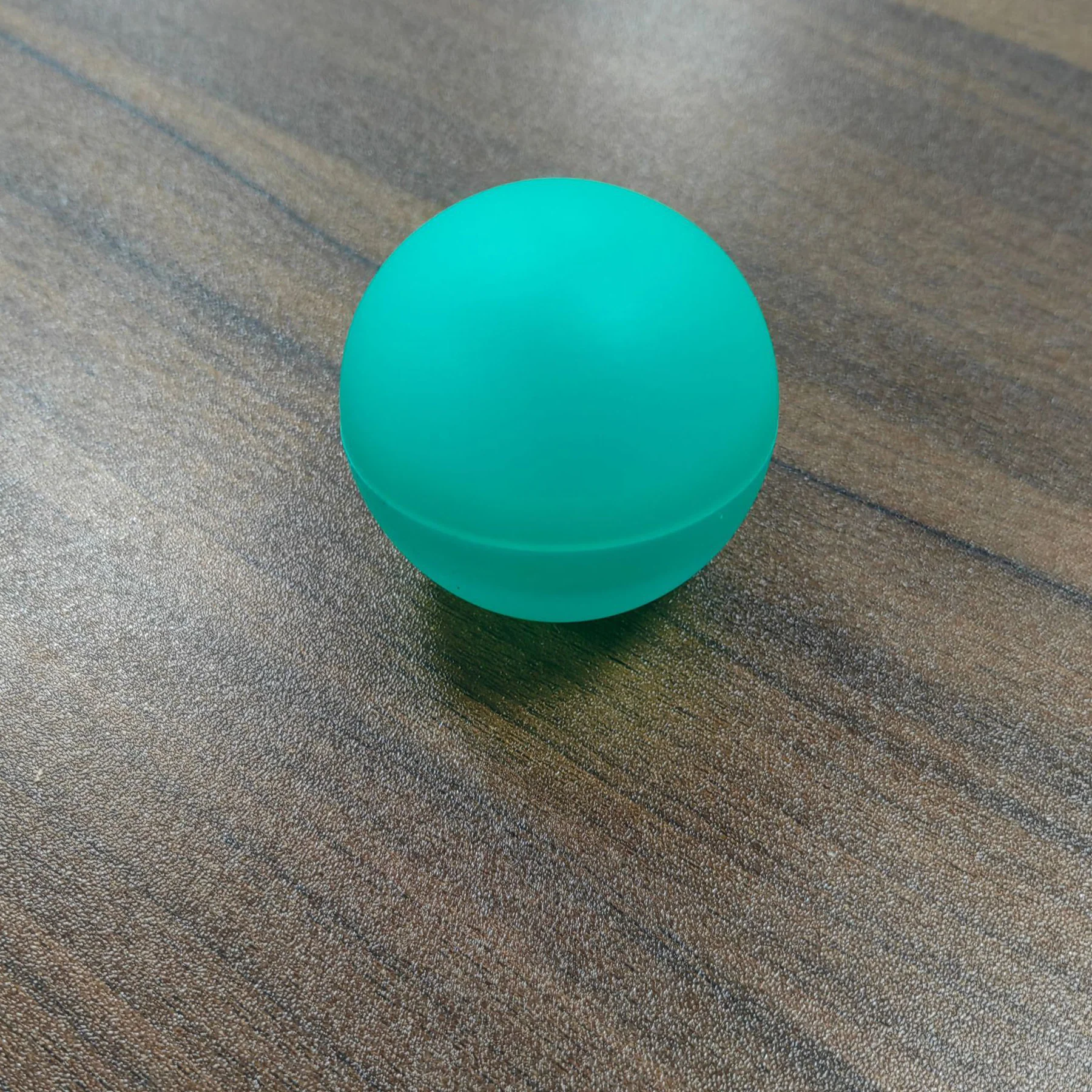 Reusable Water Balloon