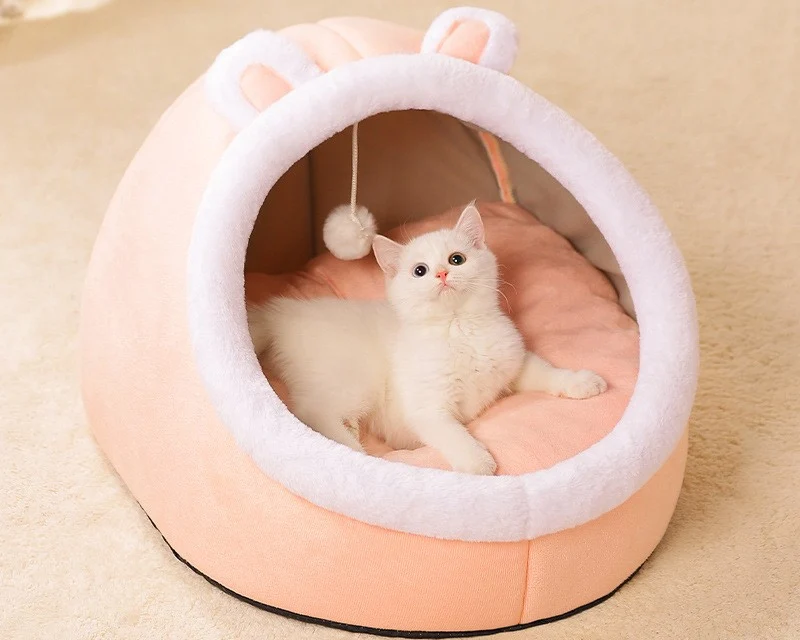 Pet Bed