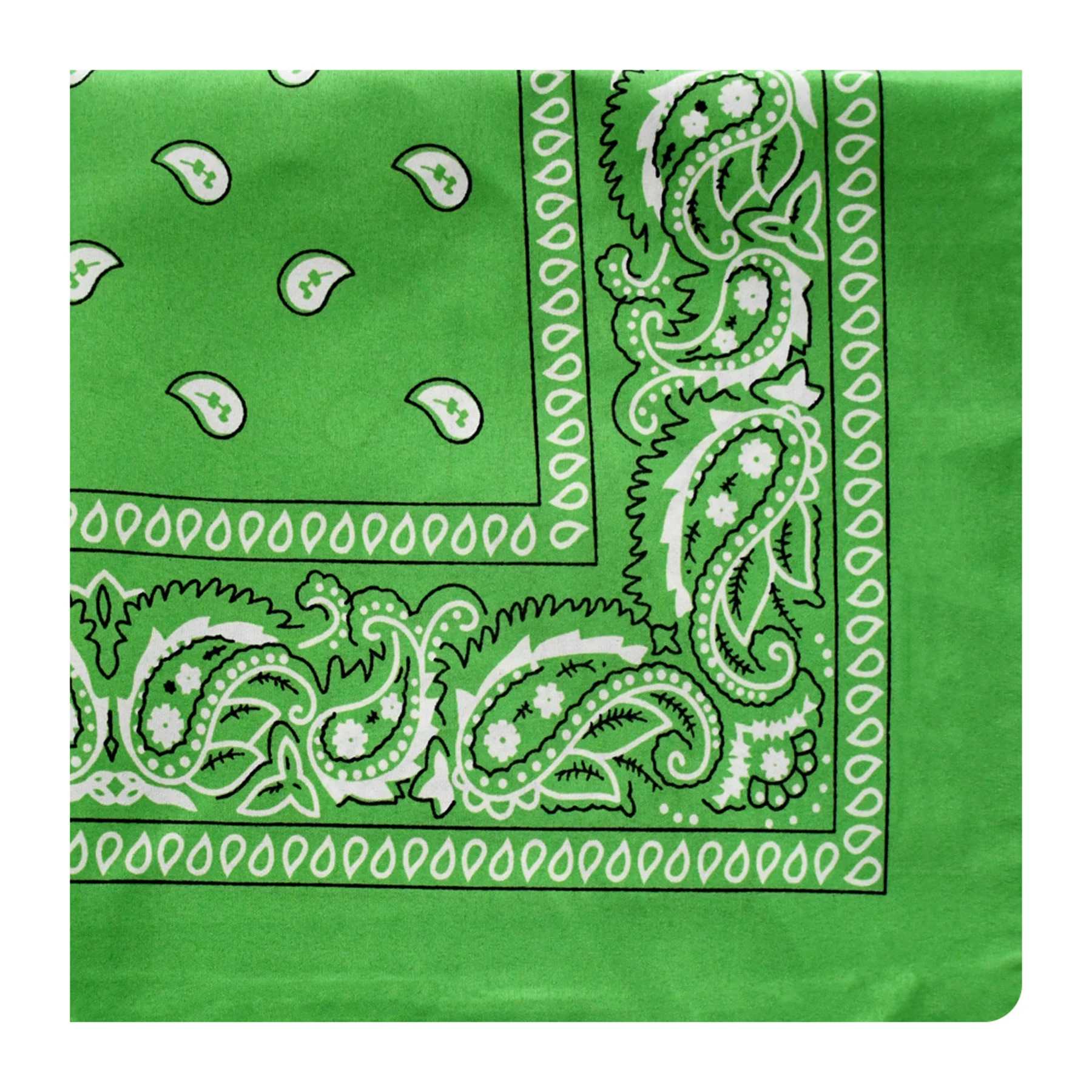 Paisley Hip-Hop Bandana