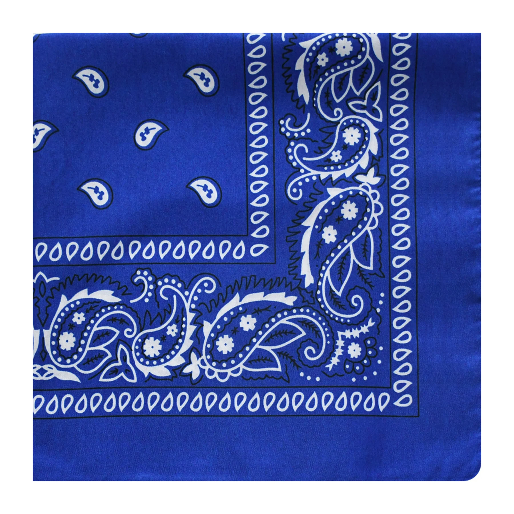 Paisley Hip-Hop Bandana