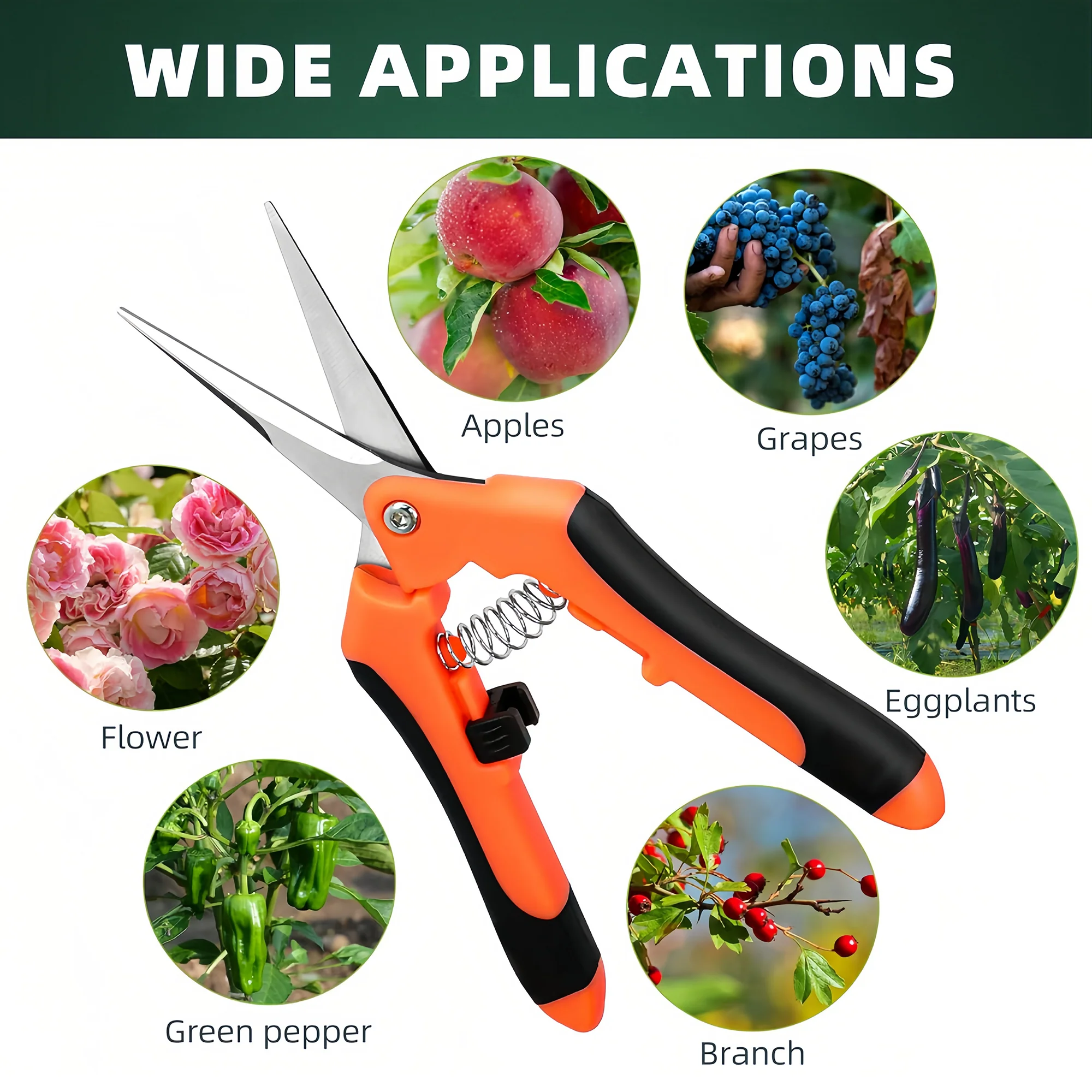 3-Pack Stainless Steel Pruning Shears