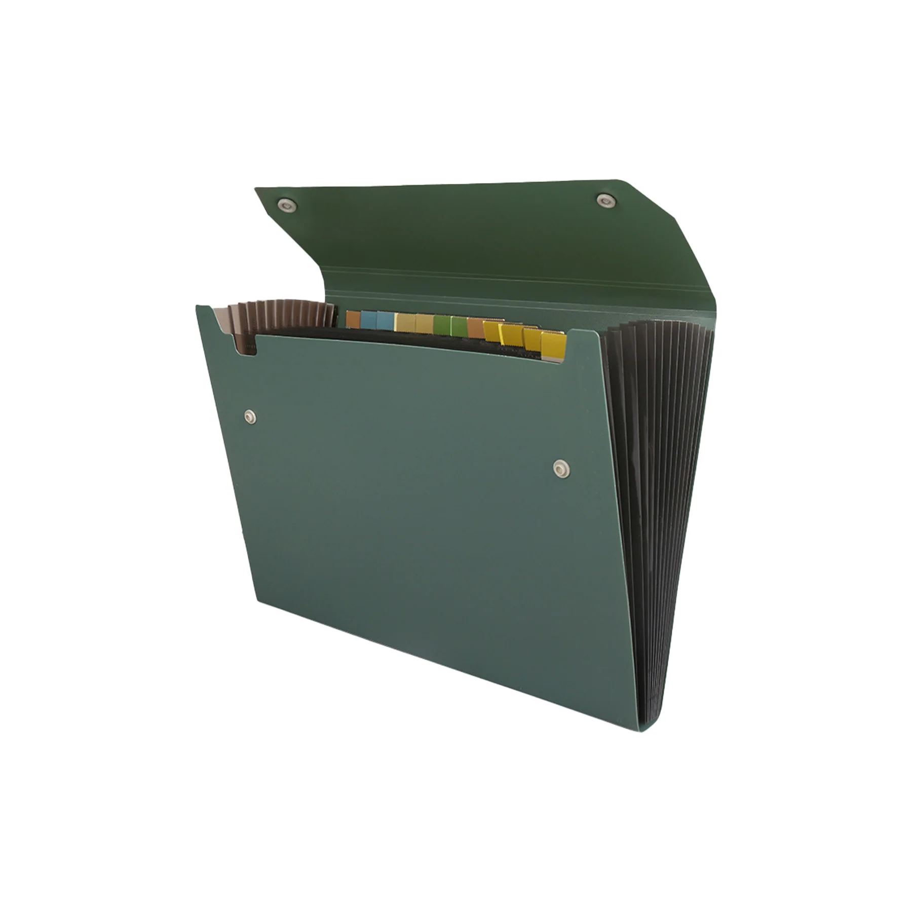 12-Pocket Accordion File Folder – Double Snap Closure