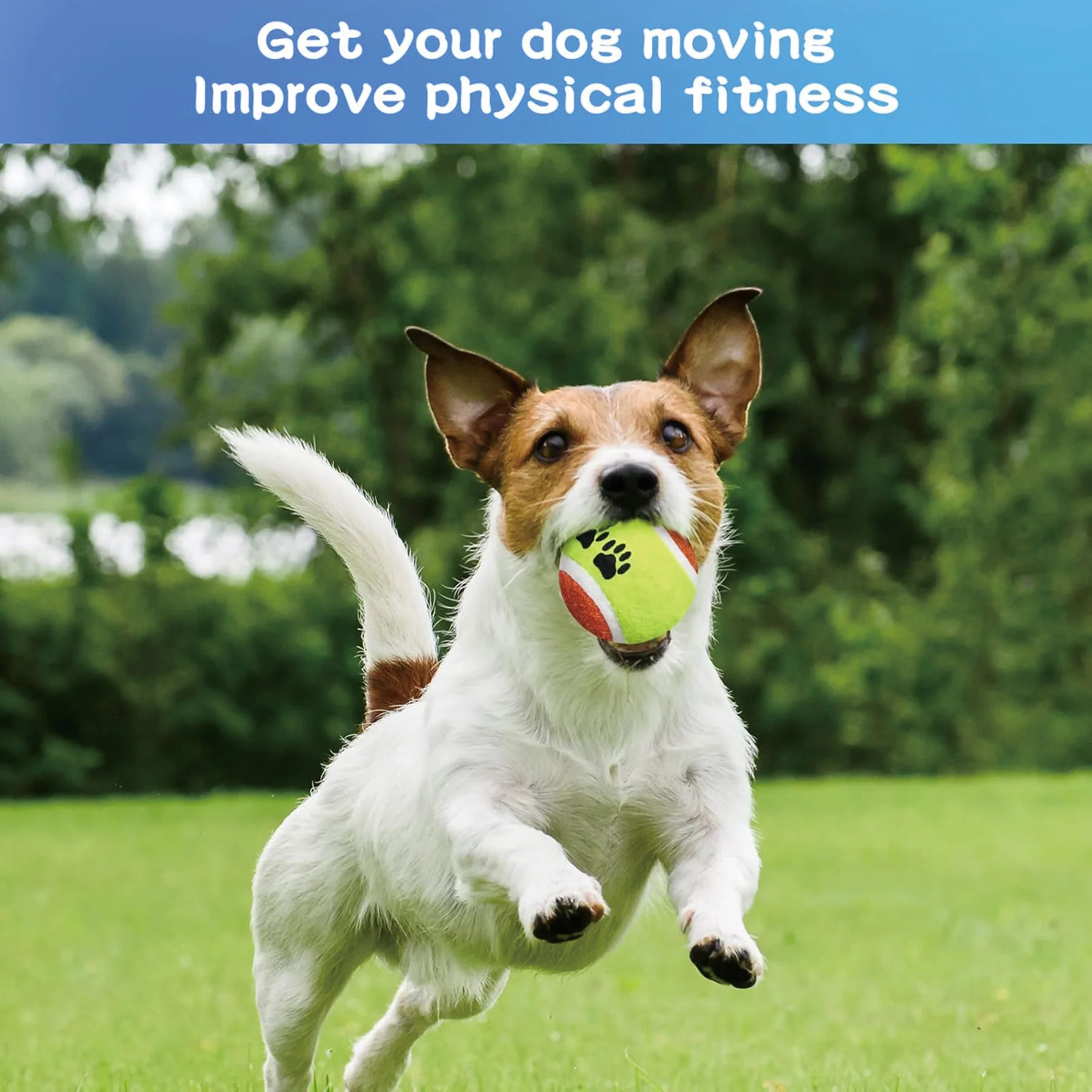 Durable Pet Tennis Ball Toy For Dog Training Play