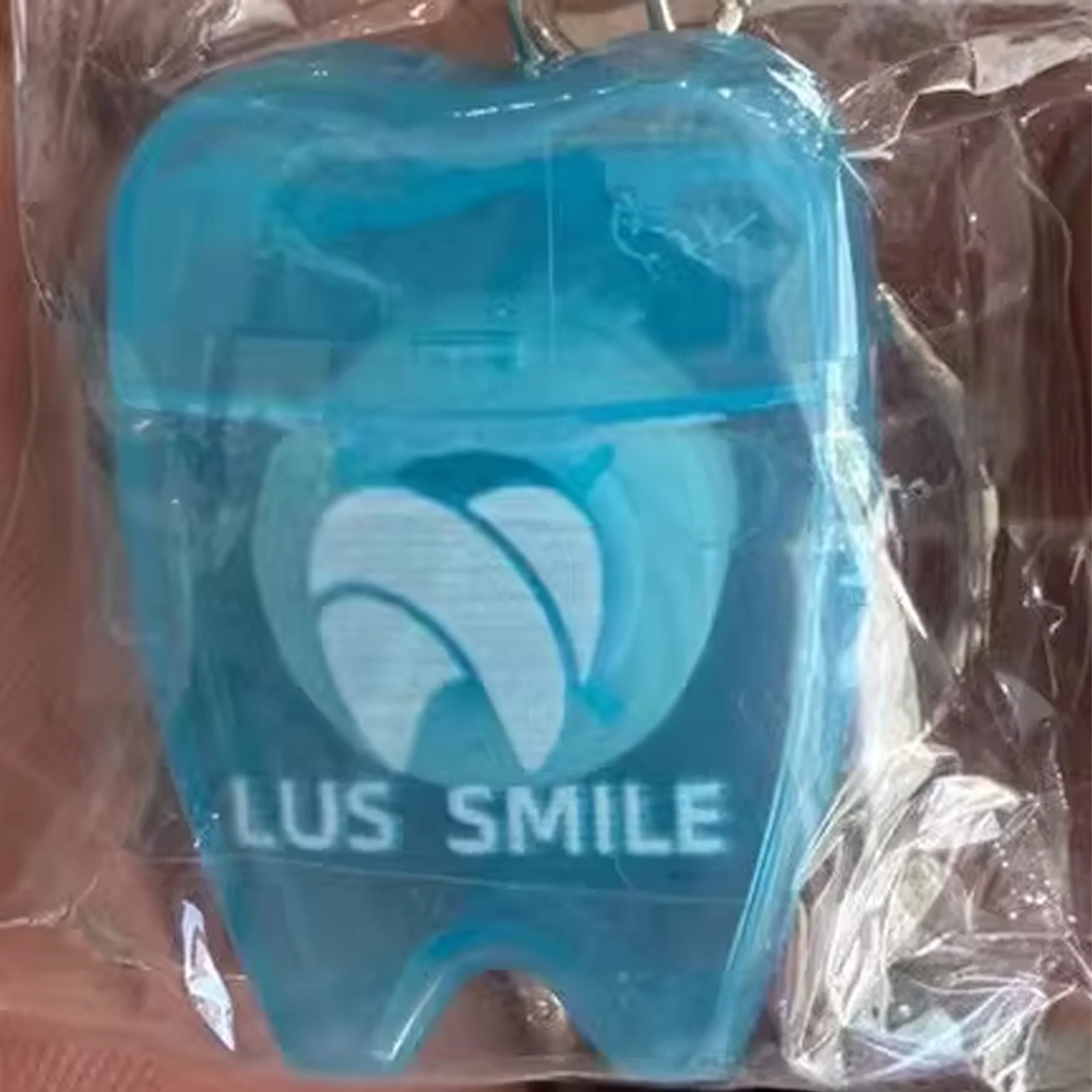 Portable Dental Floss Keychain