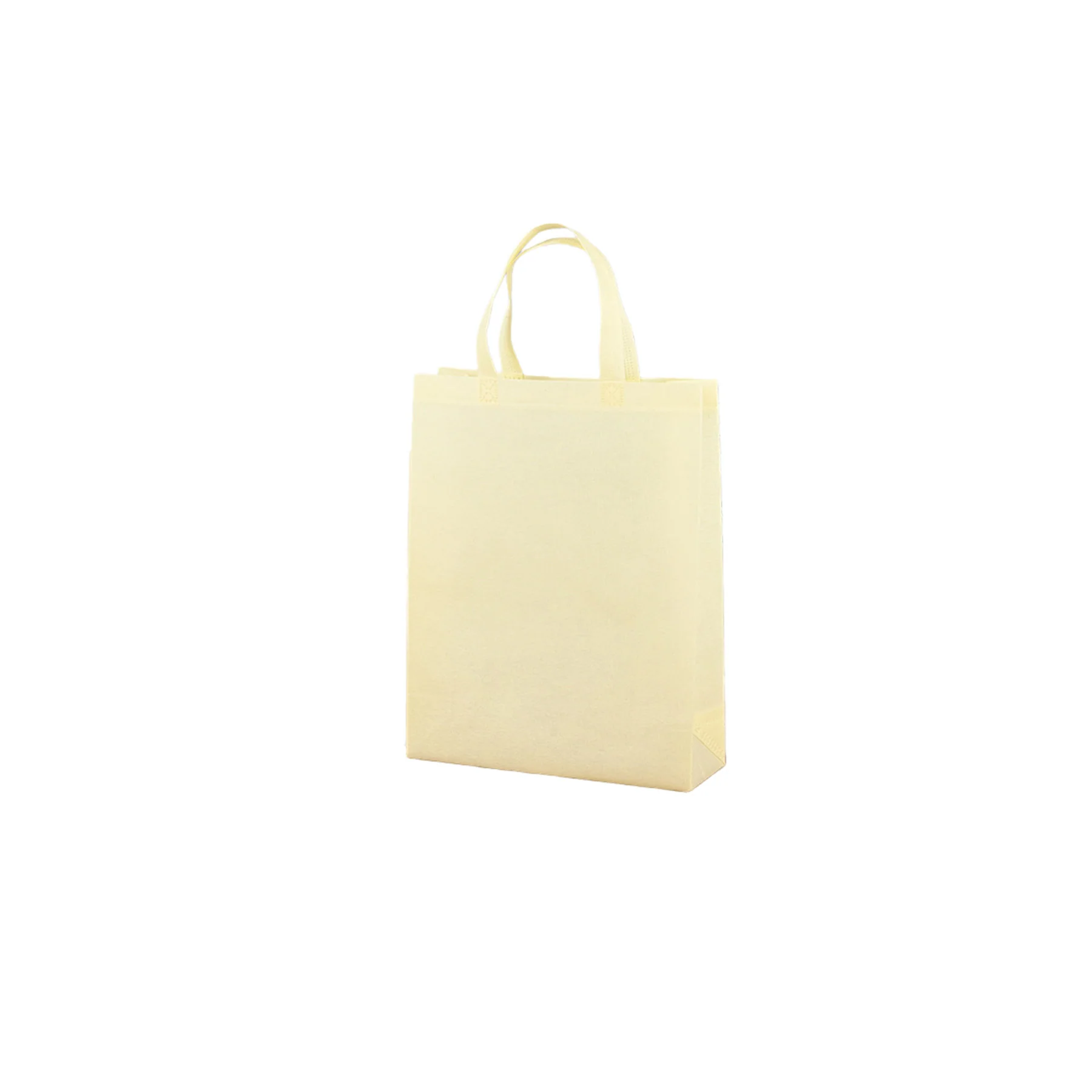 Non-Woven Gift Bag